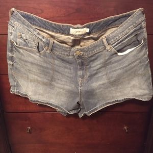 Torrid jeans short size 26
